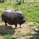 Prázdninový dům L'hirondelle-l'hirondo
