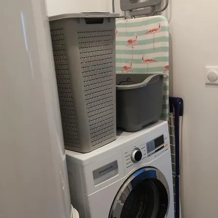 L'hirondelle-l'hirondo *