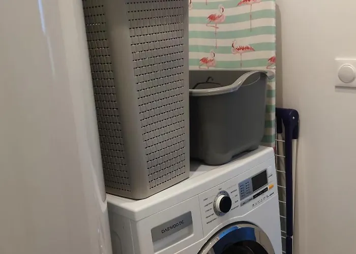 L'hirondelle-l'hirondo *